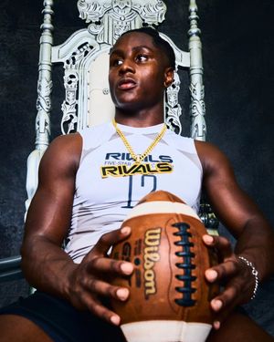 Image post by @turbo.ant_ on Instagram