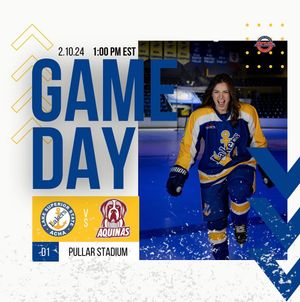 Image post by @lakestatewomenshockey on Instagram