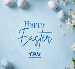 Image post by @tavvolleyball on Instagram