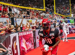 Image post by @jaxsharks on Instagram