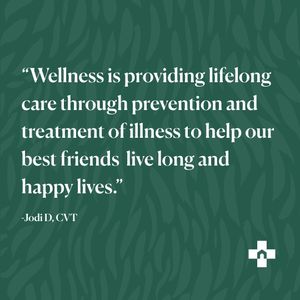 Image post by @yourfuzzy on Instagram