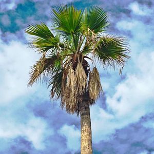 Image post by @ariannagrainey on Instagram