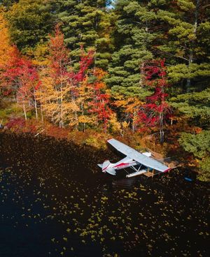Image post by @dronepals on Instagram