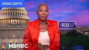 Video post by @msnbc on YouTube