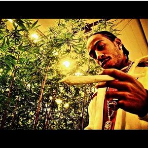 Image post by @ludacris on Instagram