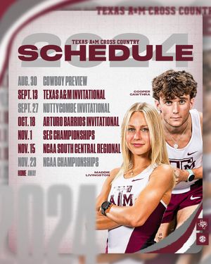 Image post by @aggietfxc on Twitter