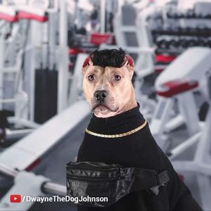 Image post by @youtube on Instagram