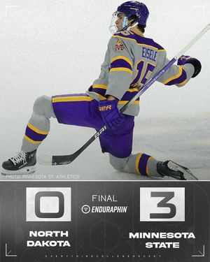 Image post by @everythingcollegehockey on Instagram