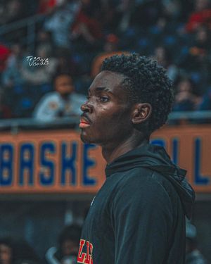 Image post by @tr35ive_visuals on Instagram