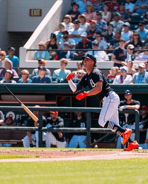 Image post by @tigers on Instagram