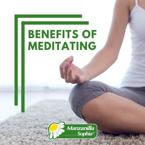 Image post by @manzanillasophiaus on Instagram