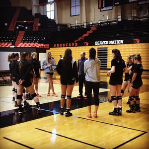 Image post by @beavervball on Instagram