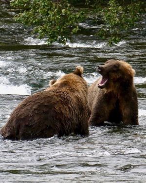 Image post by @nationalparkservice on Instagram