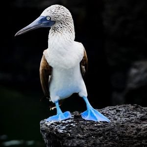 Image post by @natgeo on Instagram