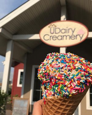 Image post by @udelaware on Instagram