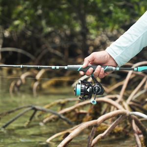 Image post by @toadfishoutfitters on Instagram