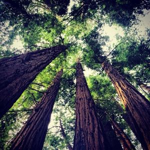 Image post by @onlyinsf on Instagram