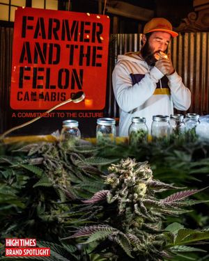 Image post by @hightimesmagazine on Instagram