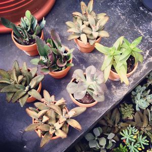 Image post by @shopbachmans on Instagram