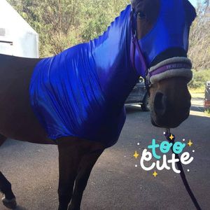 Image post by @flynhighhorsewear on Instagram