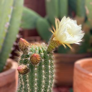 Image post by @ropethemoon on Instagram