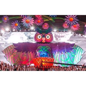 Image post by @edc_lasvegas on Instagram