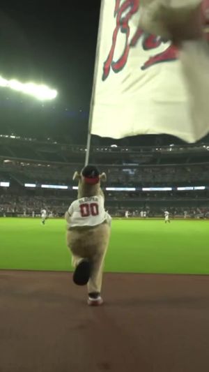 Video post by @braves on TikTok