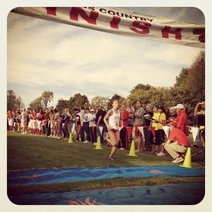 Image post by @isuredbirds on Instagram