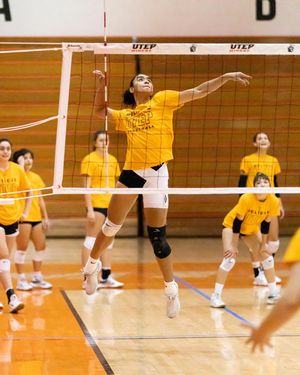 Image post by @utepvb on Instagram