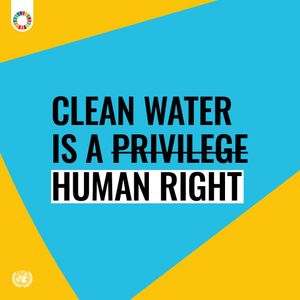 Image post by @unitednations on Instagram