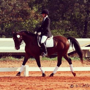 Image post by @appalachianequestrian on Instagram