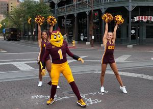 Image post by @tempegov on Instagram