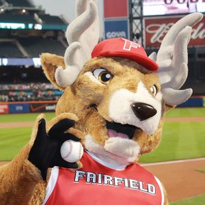 Image post by @fairfieldstags on Instagram