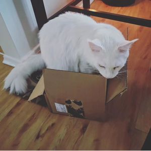 Image post by @hollysmee on Instagram