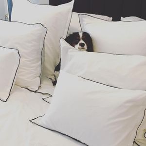 Image post by @micaela on Instagram