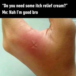Image post by @9gag on Instagram