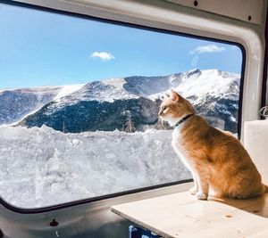 Image post by @winterparkresort on Instagram