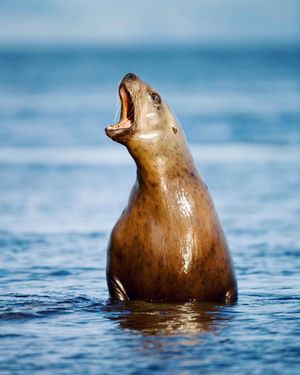 Image post by @discovery on Instagram