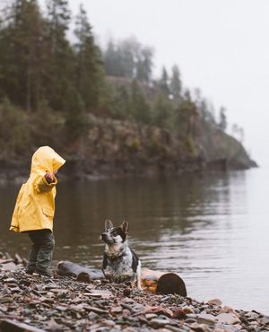 Image post by @moment on Instagram