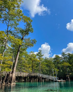Image post by @southwalton on Instagram