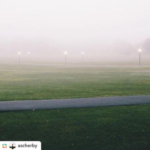 Image post by @collegiatetimes on Instagram