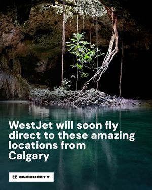 Image post by @curiocitycalgary on Instagram