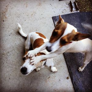 Image post by @snaffle_it on Instagram