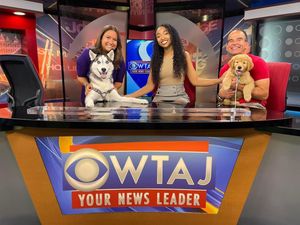 Image post by @wtajnews on Instagram