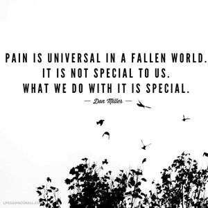 Image post by @lifesadiscoball on Instagram