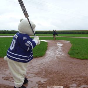 Image post by @officialcarltonthebear on Instagram