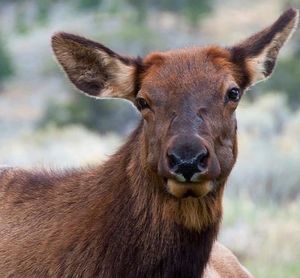 Image post by @nationalparkservice on Instagram