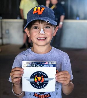 Image post by @aviatorslv on Instagram
