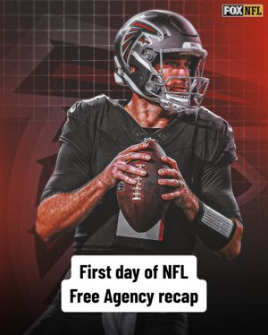 Image post by @nflonfox on TikTok