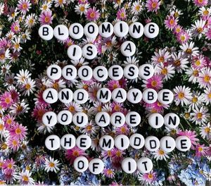 Image post by @MarikaFitness on Facebook